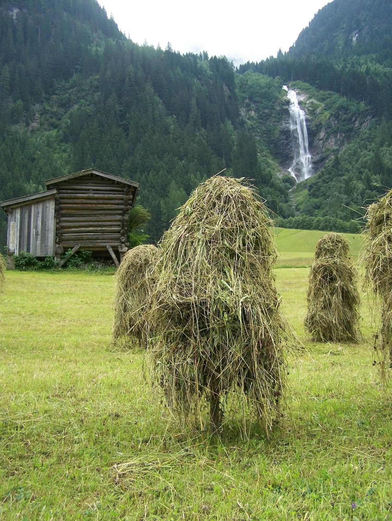 Apart-Pension Wasserfall Neustift im Stubaital Exterior foto