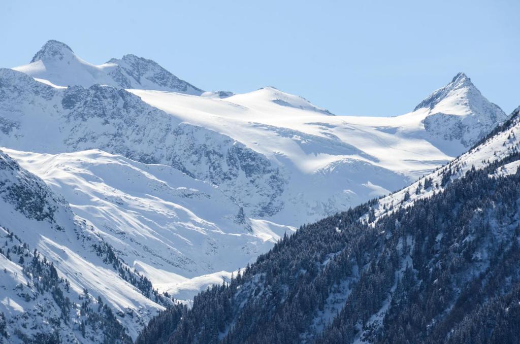 Apart-Pension Wasserfall Neustift im Stubaital Exterior foto